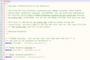 editing wp-config.php file